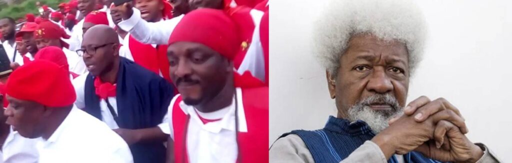 Soyinka slams Pyrates Confraternity