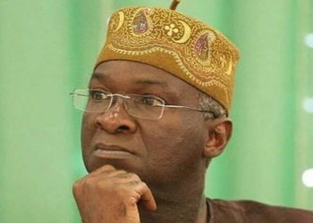 Fashola faults ‘Coat of Arms’ display on national flag