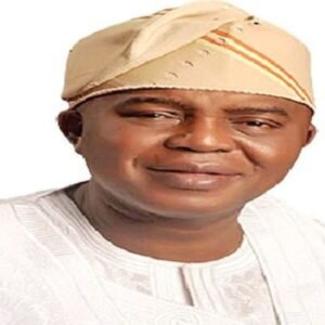 Ola Oresanya. Ogun State Commissioner of Environment.