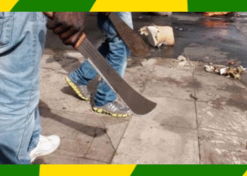 Ogun Residents Plead With Governor Abiodun For Protection From Land Grabbers And Thugs