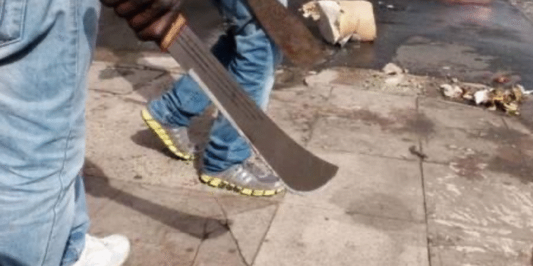 Ogun Residents Plead With Governor Abiodun For Protection From Land Grabbers And Thugs