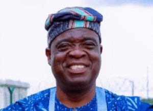 A former Commissioner for Agriculture in Ogun State, Samson Odedina