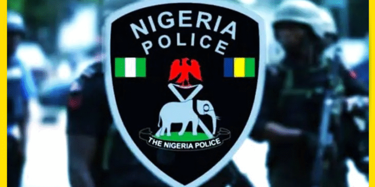 POLICE OFFICER
