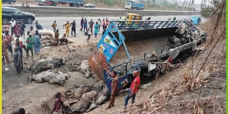 Six Dead, 29 Injured In Lagos-ogun Road Crashes