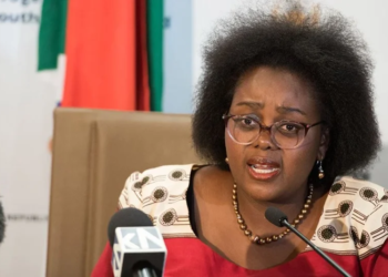 Xenophobia: ‘Our artistes’ shows are being cancelled across Africa’ — South African minister