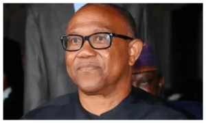 Now Time For Nigerians To Take Stance, Determine Where Country Headed Democratically — Peter Obi
