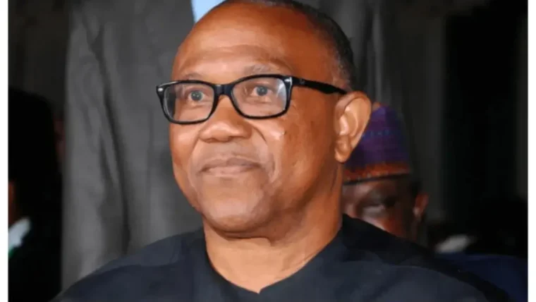 Now Time For Nigerians To Take Stance, Determine Where Country Headed Democratically — Peter Obi