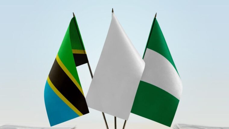 Tanzania Eases Visa Rules For Nigerian Travellers